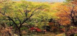 雙陽冰溶洞風景旅遊區 雙陽冰溶洞風景旅遊區