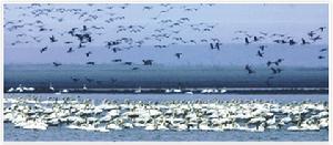 北京綠創環保集團