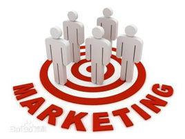 大市場行銷, 大市場行銷,