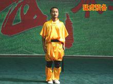 虎拳[中國傳統武術流派之一]