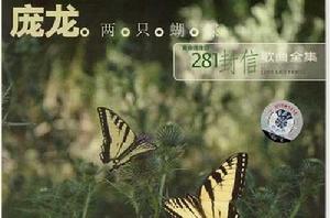 兩隻蝴蝶[龐龍發行專輯]