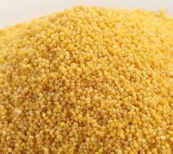 沁黃2號 沁黃2號