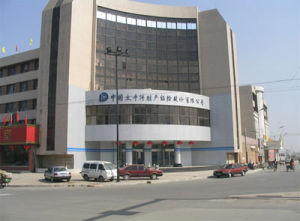 大同股份有限公司 大同股份有限公司