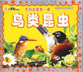 鳥類昆蟲 鳥類昆蟲