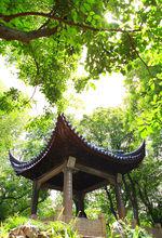 滄浪亭高清組圖