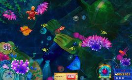 瘋狂的鯊魚 瘋狂的鯊魚