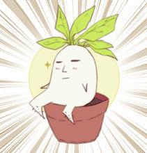 白二道長微博、貼吧、官網論壇頭像