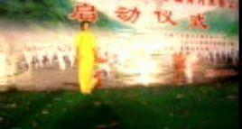 陳新芳[陳家溝太極拳外派教練]