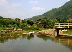 龍灣自然生態村 龍灣自然生態村