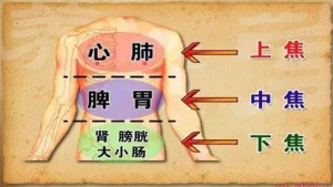 中焦如漚 中焦如漚