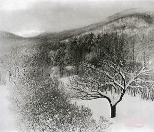 阿爾弗雷德·斯蒂格里茨