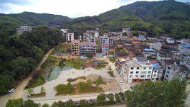 東澗村[福建南平政和縣鐵山鎮東澗村]