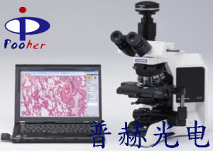 奧林巴斯顯微鏡BX53 奧林巴斯顯微鏡BX53