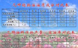 食品能值 食品能值
