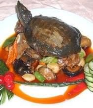 八寶黿魚 八寶黿魚