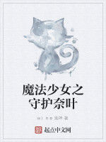 魔法少女之守護奈葉 魔法少女之守護奈葉