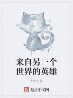 來自另一個世界的英雄 來自另一個世界的英雄