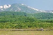 八甲田山[日本青森縣中部火山群的總稱]