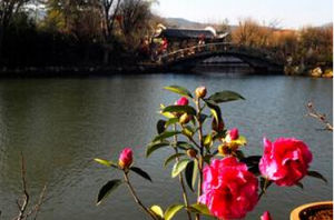 雲南省豐澤源植物園 雲南省豐澤源植物園
