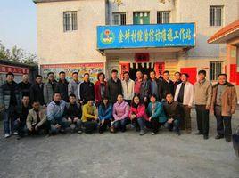 金坪村[廣東陽春市春城街道下轄村]