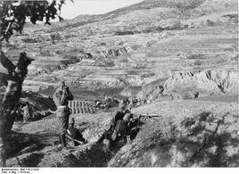 青島戰役 青島戰役