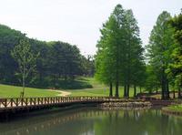 介休市森林公園 介休市森林公園