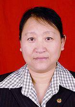 段敏[朝陽市中心醫院主任醫師]