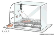 詹姆斯&middot;奧爾茲