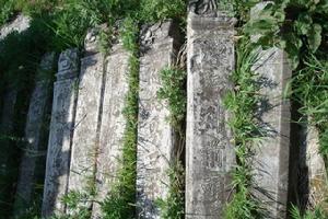 鬼谷嶺十景 鬼谷嶺十景