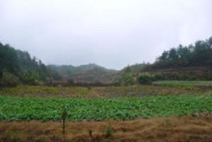 馬場坪子自然村 馬場坪子自然村