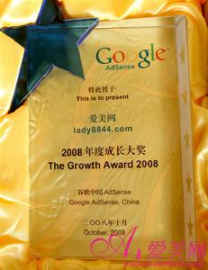 Google 2008年度最佳成長網站獎