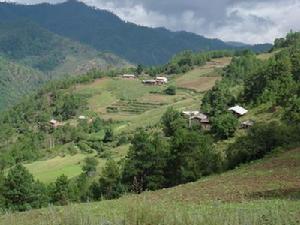 南北松園村 南北松園村