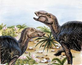 愛德蒙龍 愛德蒙龍