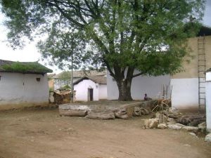 李營自然村 李營自然村