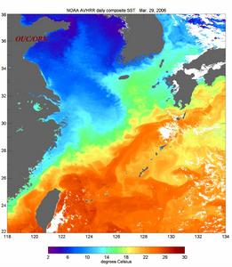 中國沿海地區海溫分布