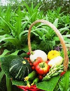 有機慢生活 有機慢生活