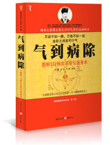 氣到病除 氣到病除