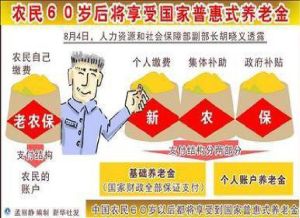 新型農村社會養老保險