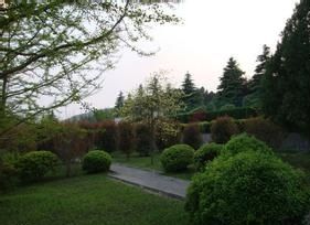 汪園問花記 汪園問花記