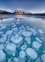 亞伯拉罕湖的冰凍氣泡