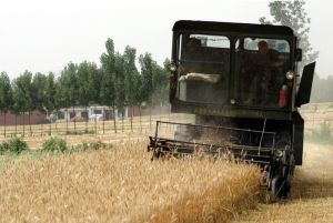 龐家堡村 龐家堡村