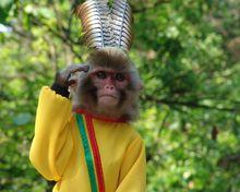 森林資源類專業