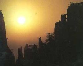 仙人下棋 仙人下棋