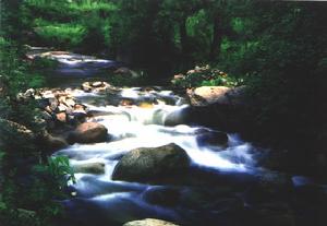 黃松峪國家級森林公園