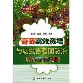 葡萄高效栽培與病蟲害看圖防治 葡萄高效栽培與病蟲害看圖防治