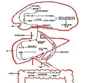 高滲性非酮症糖尿病昏迷