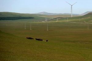 阿日昆都冷草原 阿日昆都冷草原