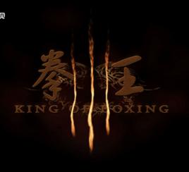 拳王[2011年李濤執導電影]