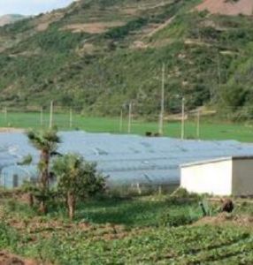 矣馬白小營村 矣馬白小營村