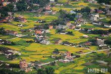 湖頭鎮[福建安溪縣轄鎮]